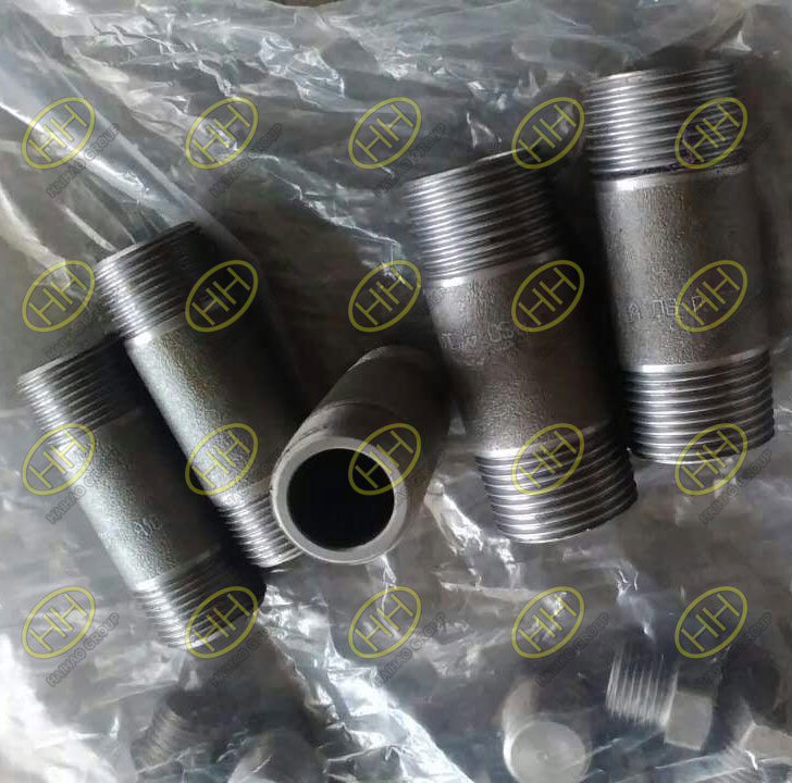 Pipe Nipple-TBE,TOE,PBE,Swage Nipple