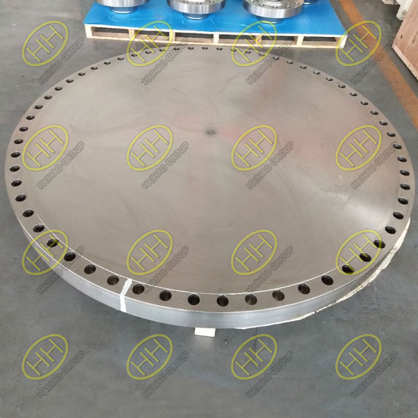 Blind Flange RF ASTM A182 Gr.F304/ 304L used in Arctic LNG2 project