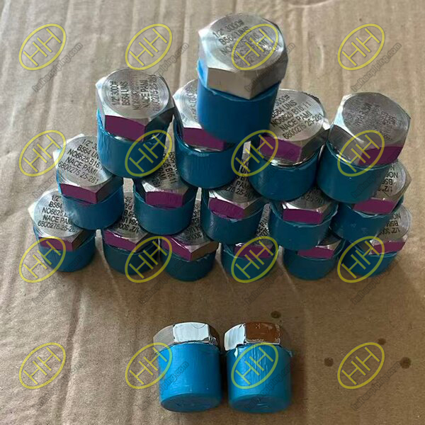 ASME B16.11 NACE Threaded Plug Delivered for Singapore Sour Gas Piping